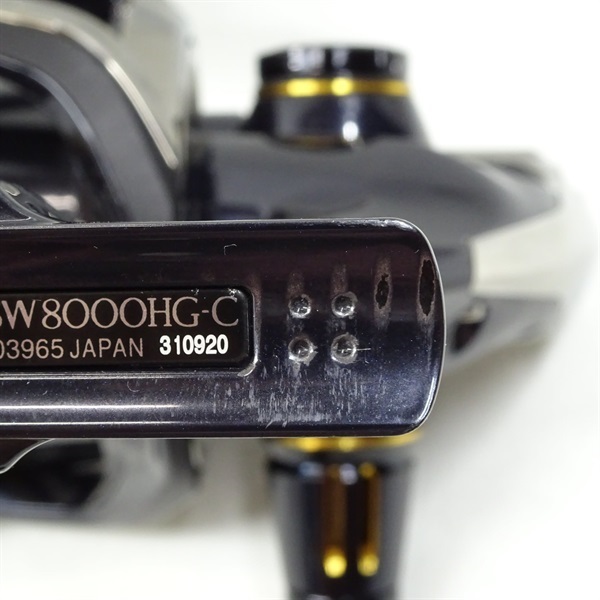 １９ステラＳＷ８０００ＨＧ